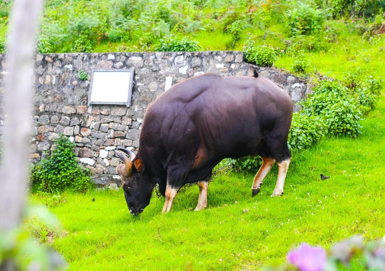 Hotel Kodai Outdoor Valley By Voye Homes Kodaikanal