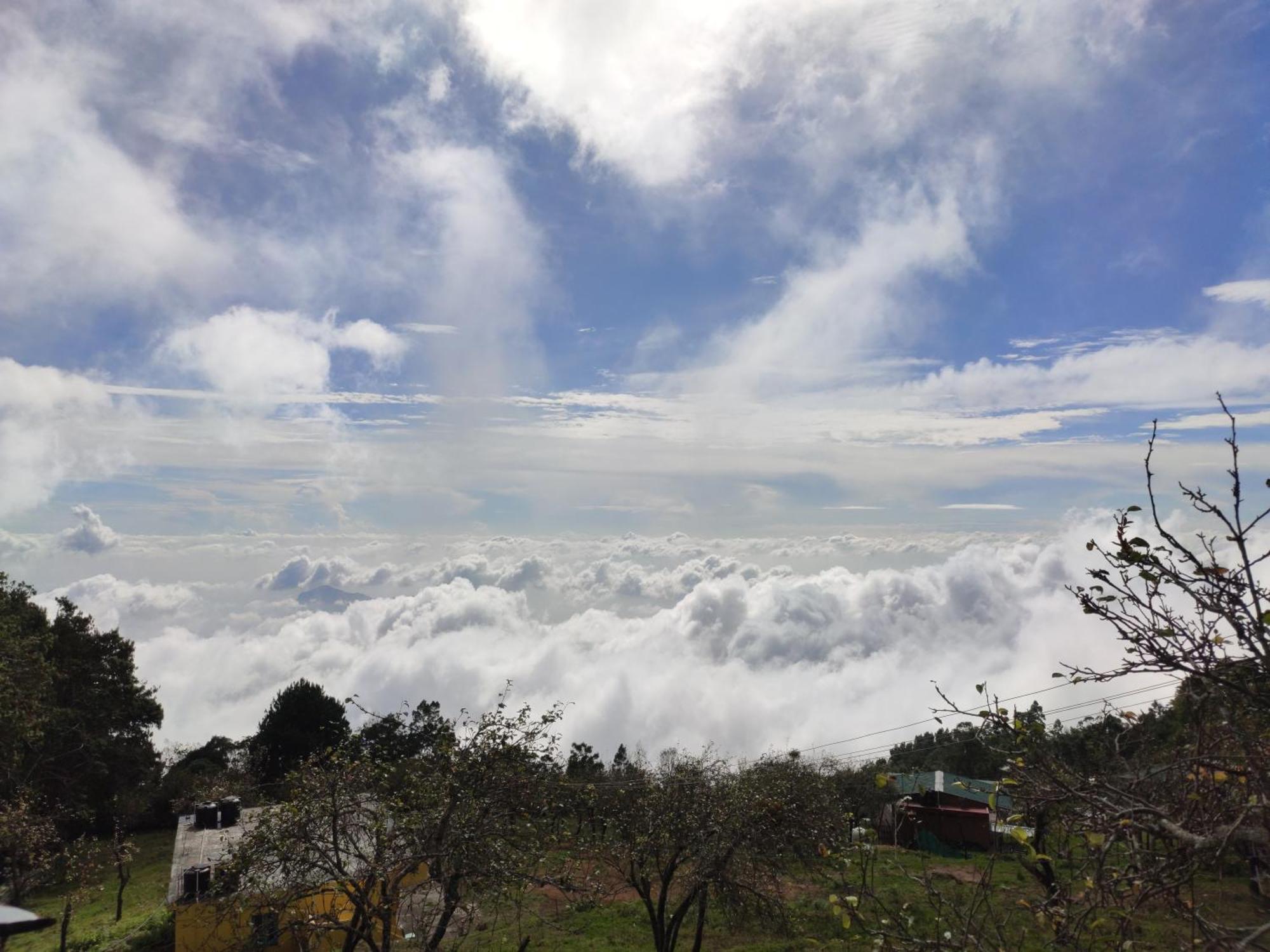 Villa Praveen Woodhouse And 9oo342s565 Kodaikanal