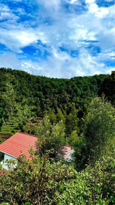 Hotel Kodai Hill View *