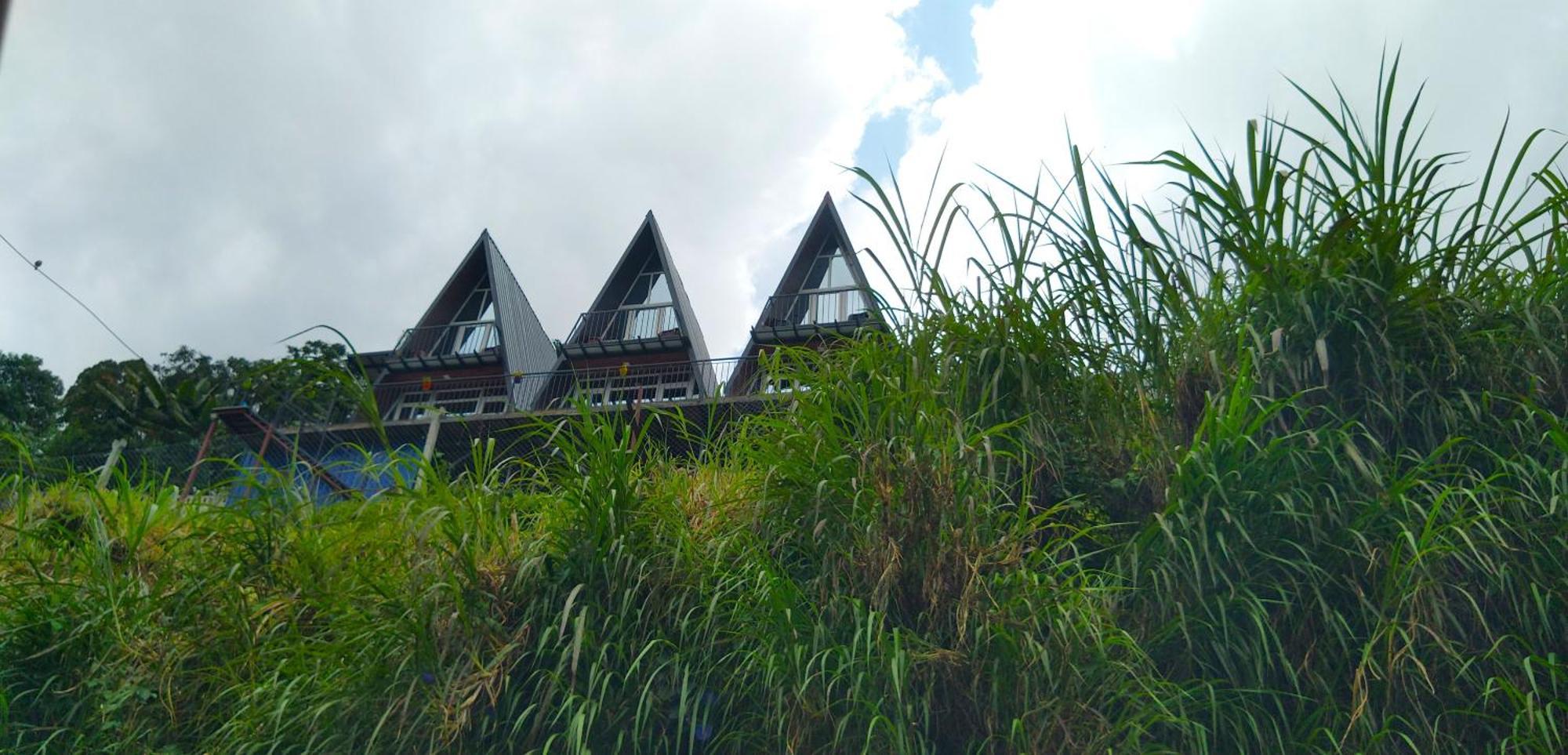 The Peahen Homestay Kodaikanal