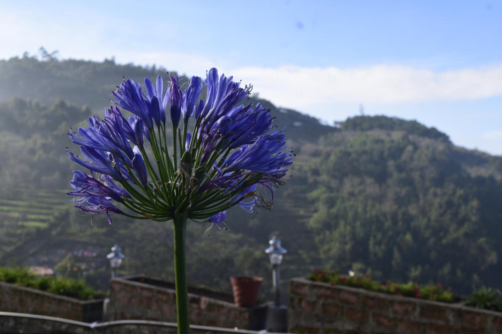 Hotel Jemvalley Kodaikanal