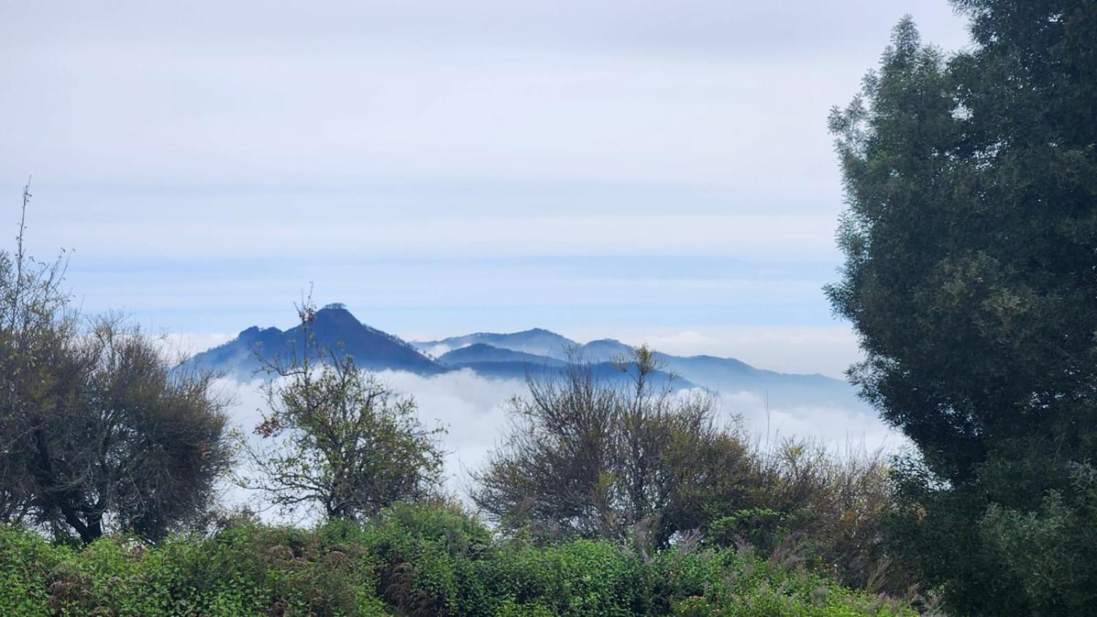 Hotel Fabhotel Tranquil Heights Kodaikanal