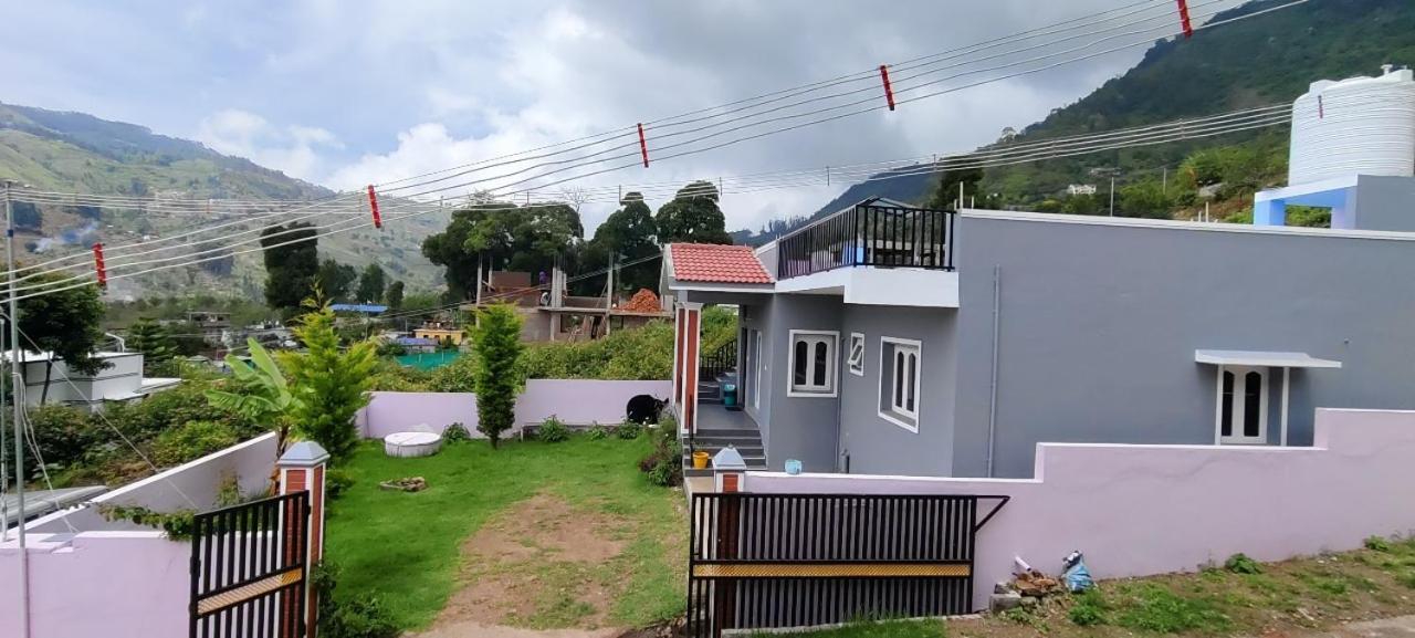 Kodai Scotberry