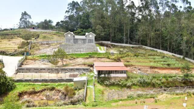 Zack's Stone Kodaikanal