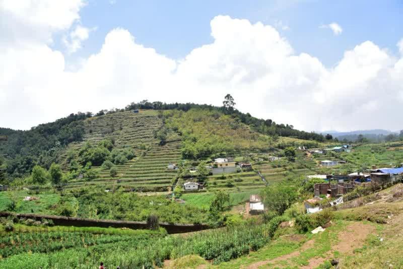 Zack's Stone * Kodaikanal