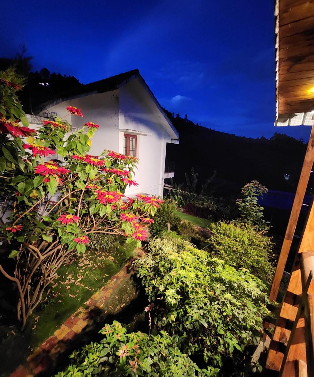 Villa Luxury Glass House Lowest Price By - My Vacation *