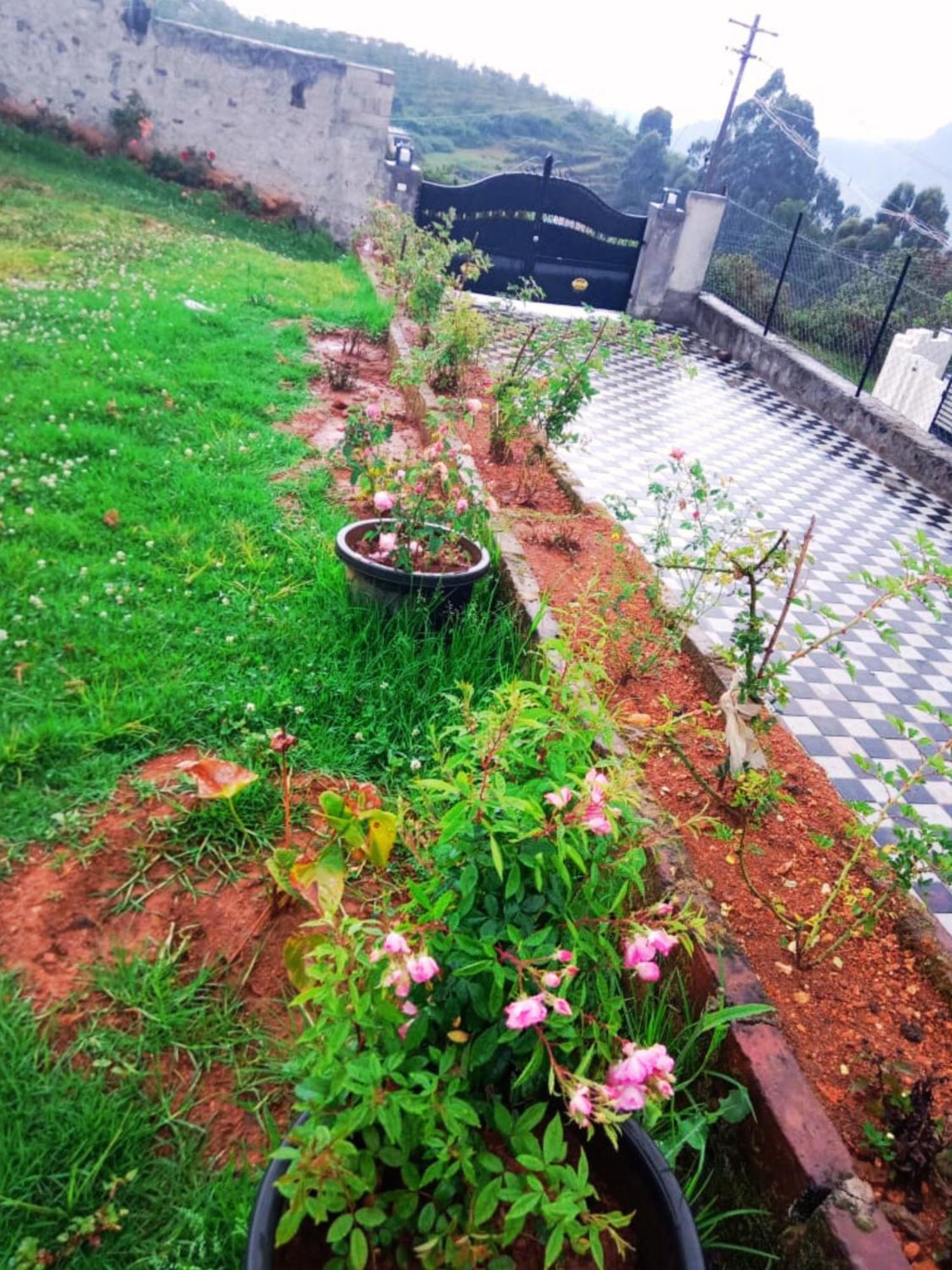 Olive Hillview - 3bhk Private With Hill View, Parking, Kitchen, Wifi