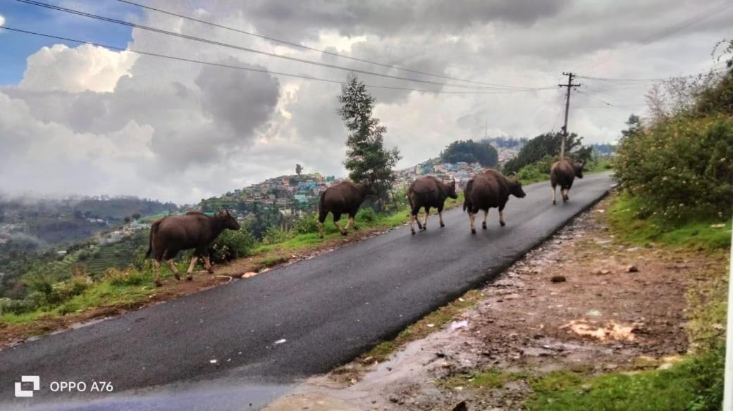 Homestay Western Ghats Homestay Kodaikanal