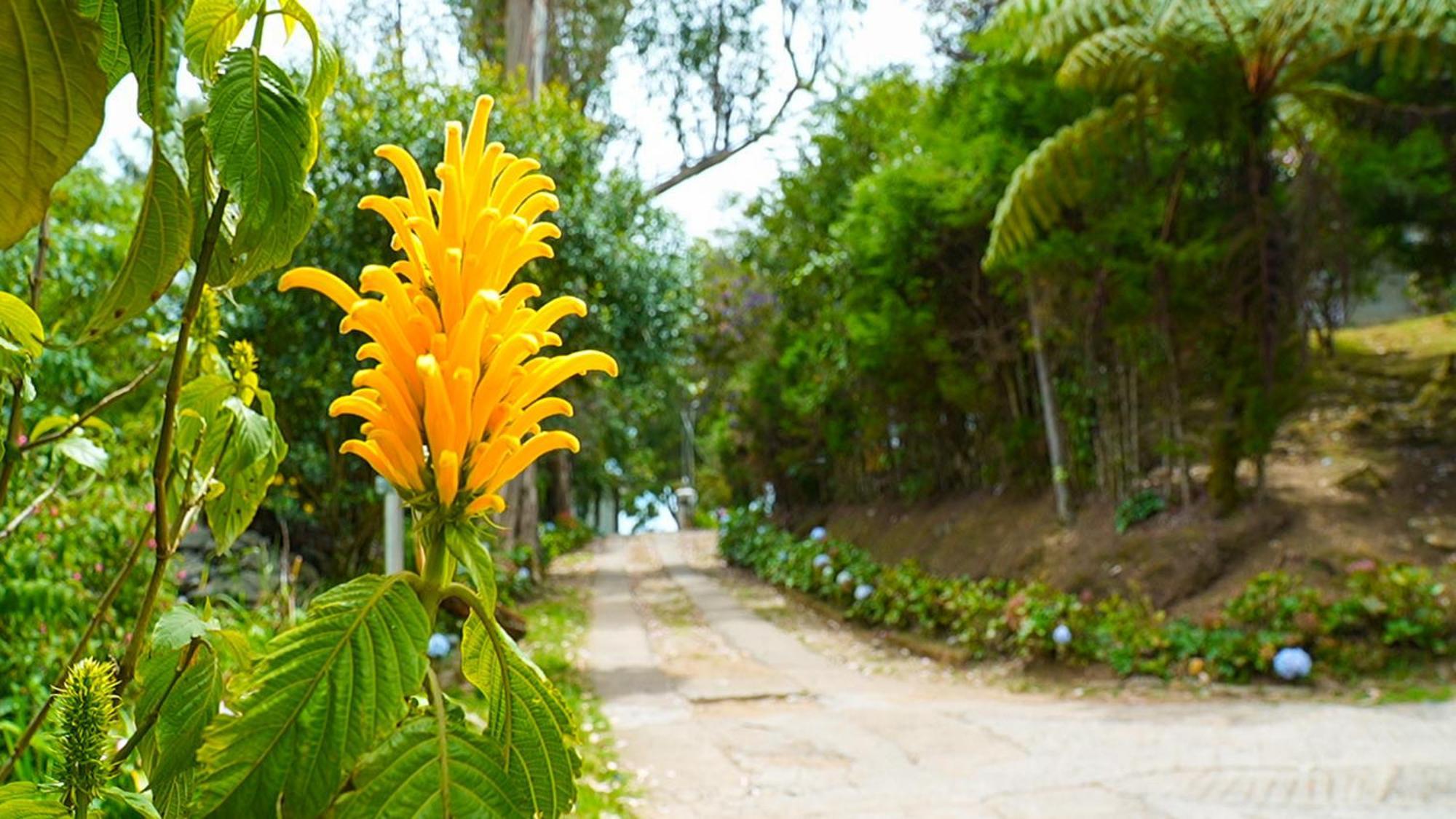 Happyhuts At Valley View Homestay Kodaikanal