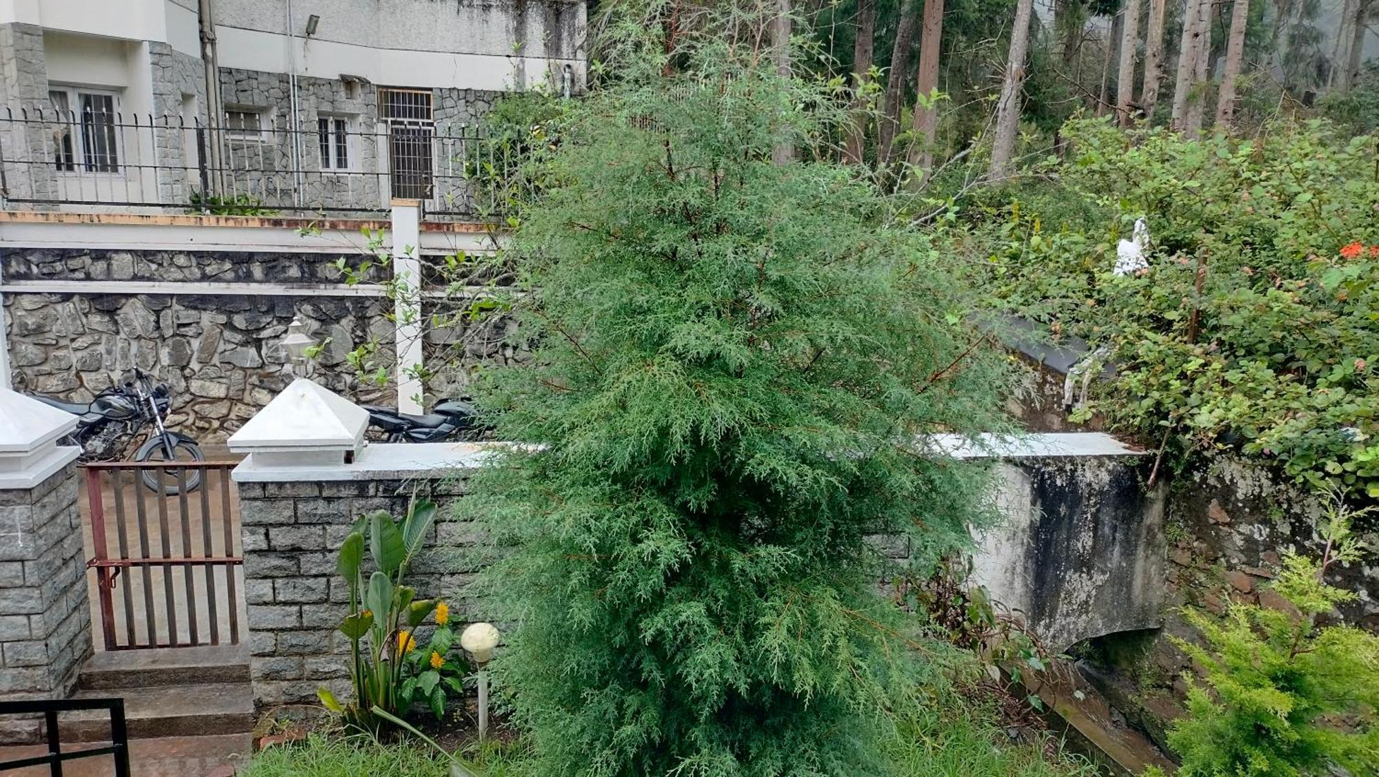 Kodai King Guest house Kodaikanal