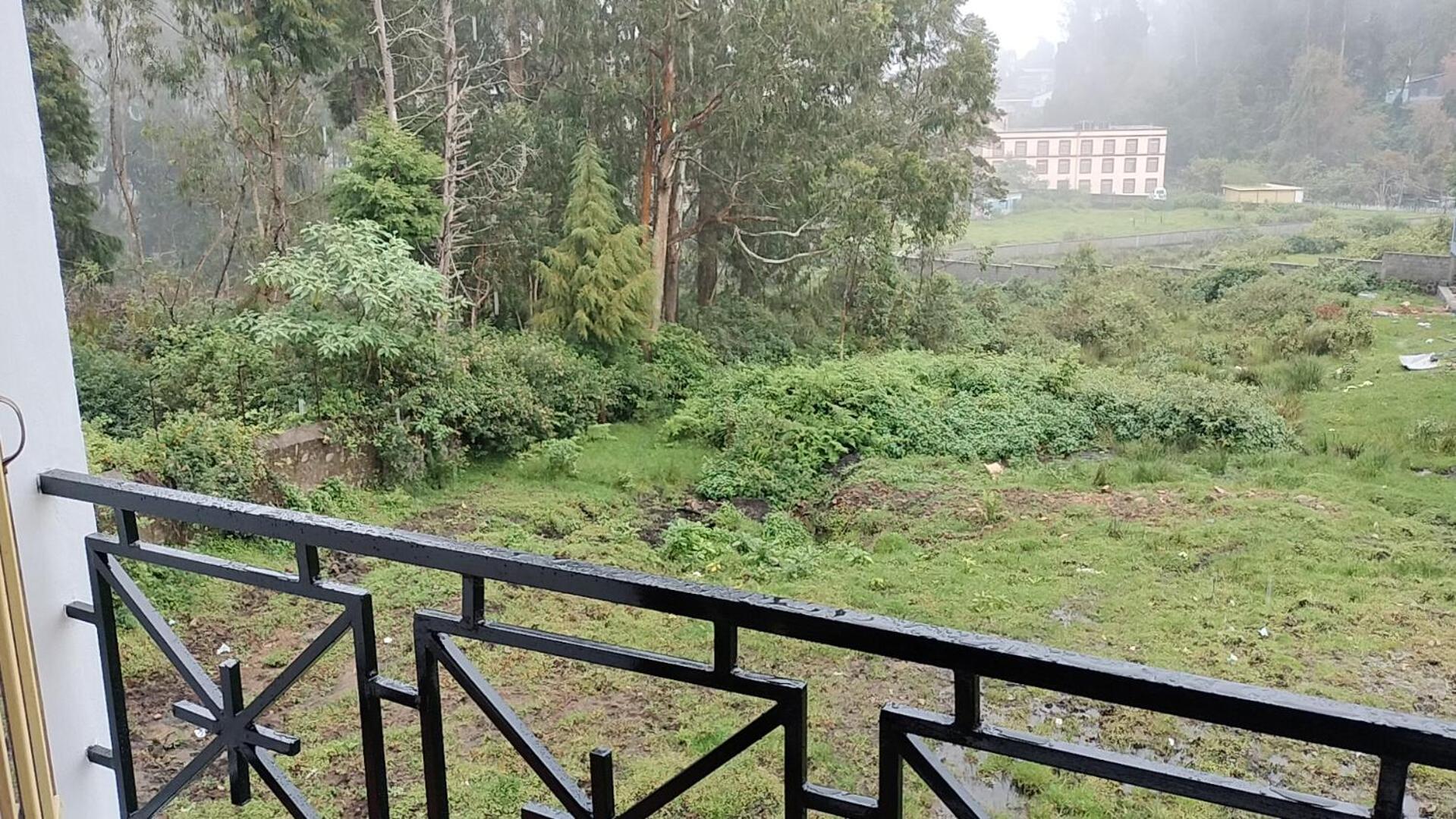 Kodai King Kodaikanal