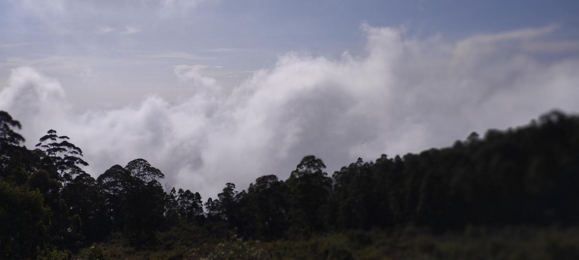 Wyt Retreat Vatta Merriment 2* Kodaikanal