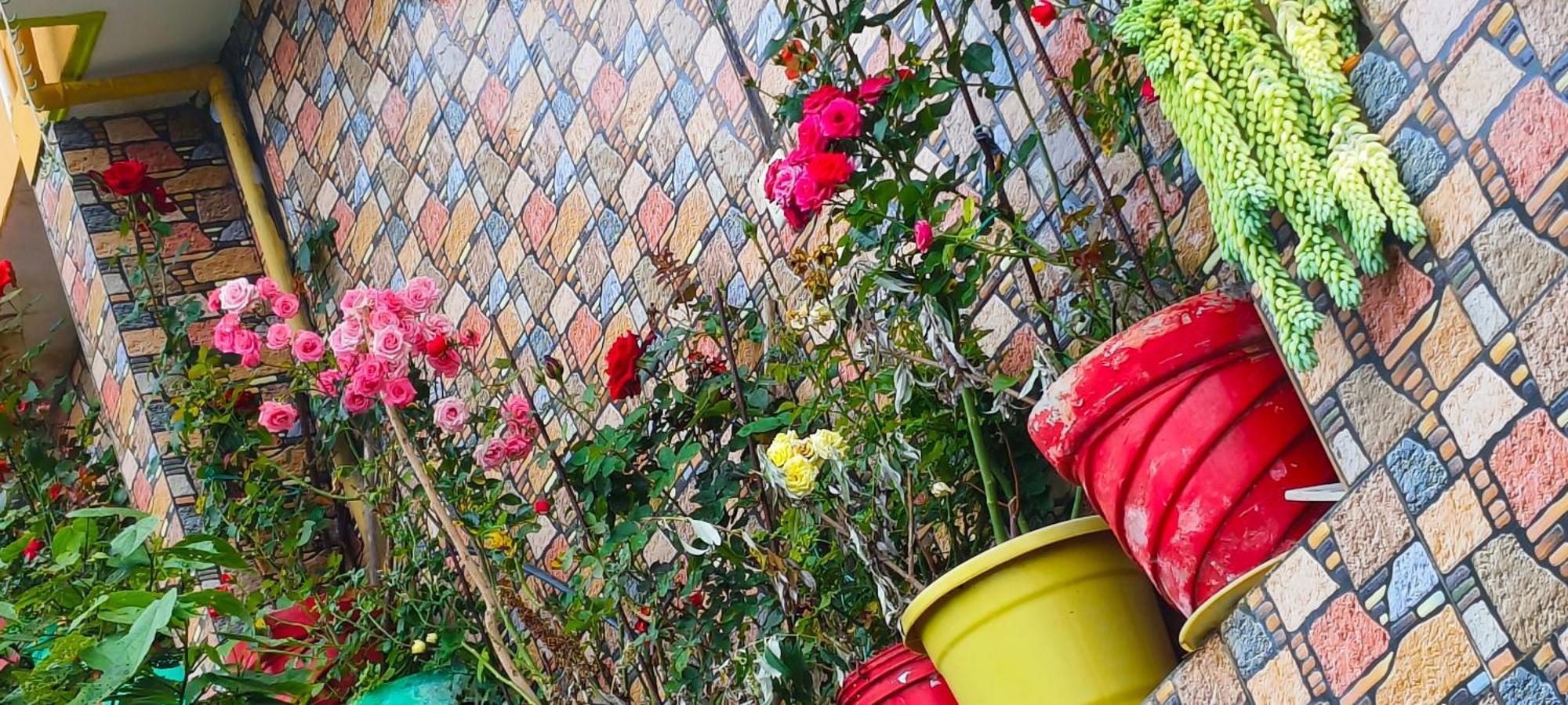 Zion Homestay Kodaikanal