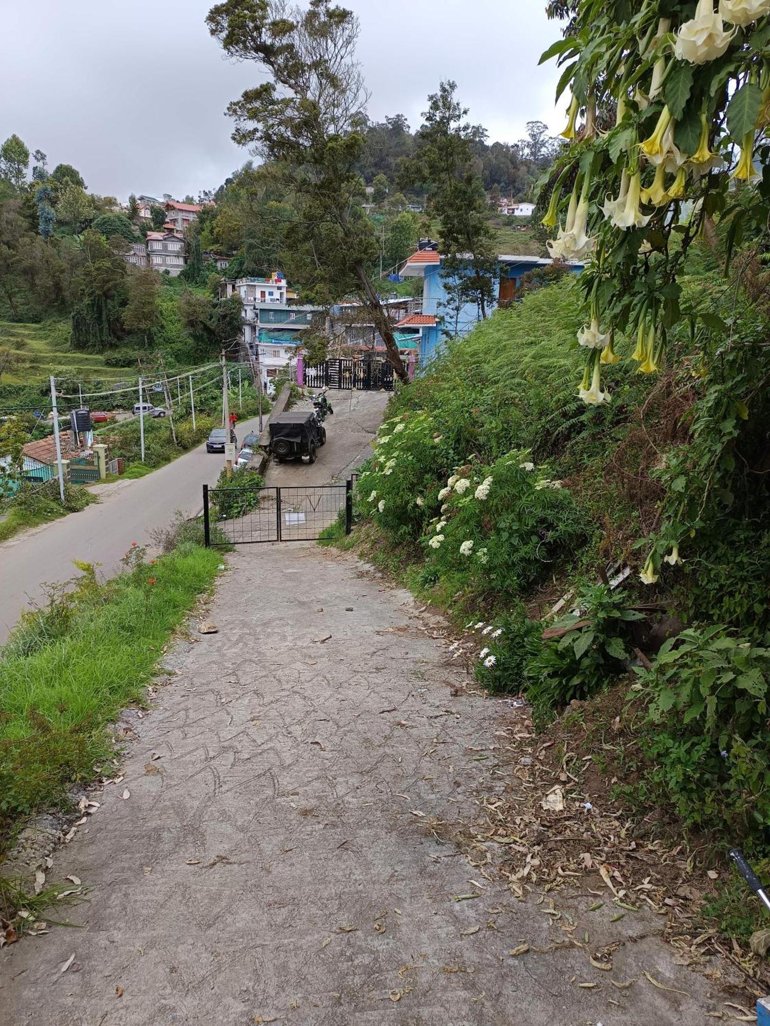 Kodai Riya Paradise