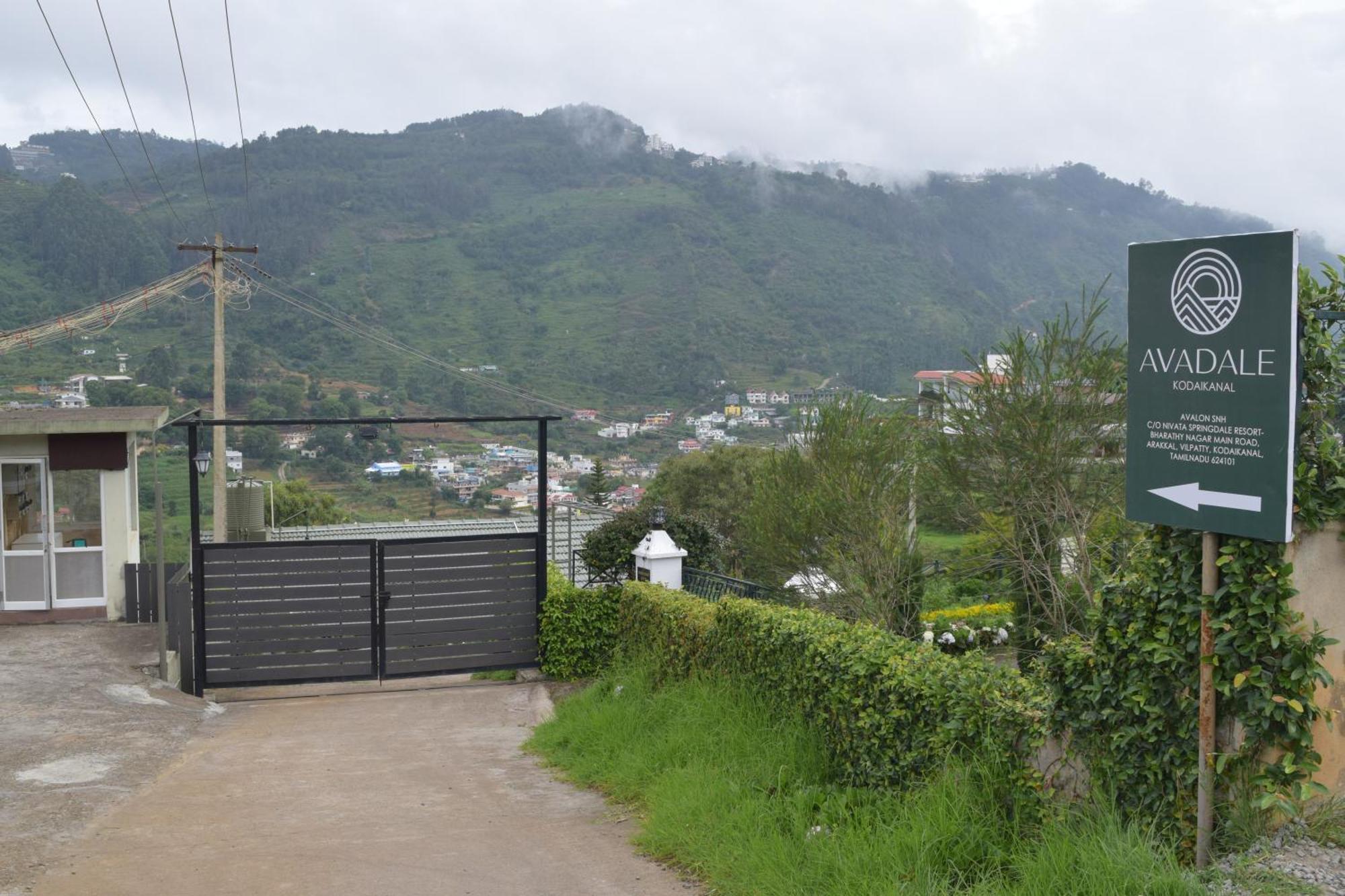Resort Avadale - Stag Groups Not Allowed *