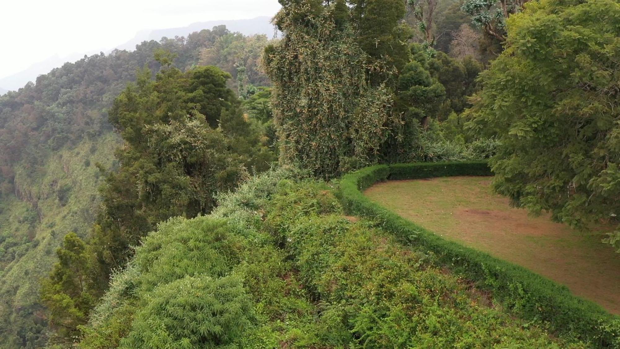 Beyond Kodai Homestay *