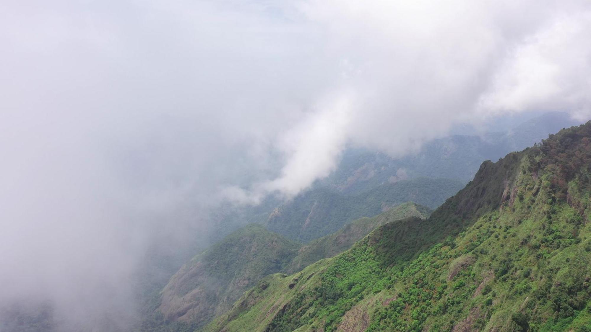 Beyond Kodai Homestay Kodaikanal