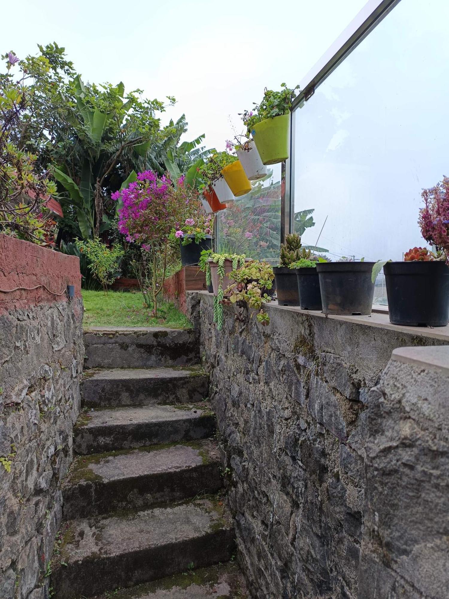Villa Kodai Riya Paradise Kodaikanal