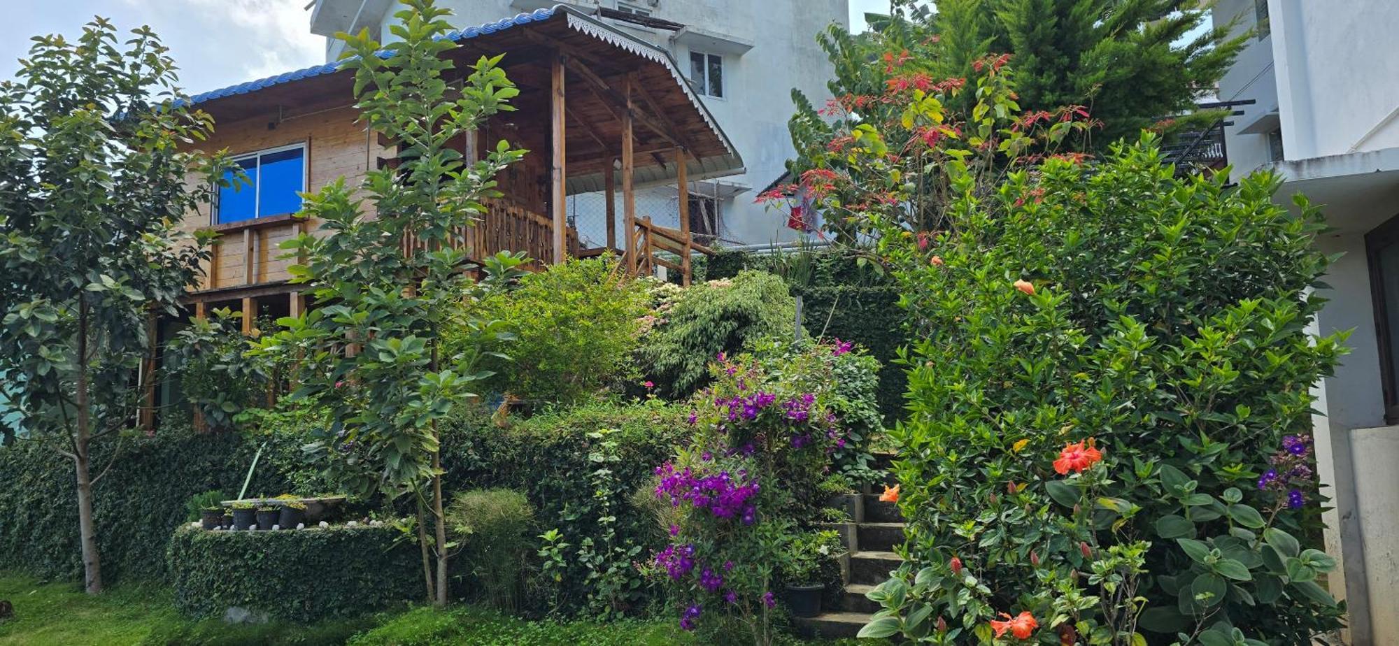 Wood House Luxury tent
