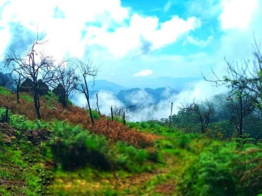 The Place The Experience Homestay Kodaikanal