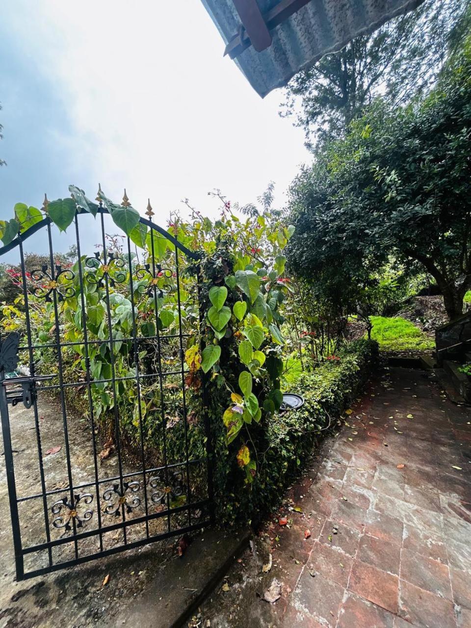 The White Oaks Bed & Breakfast *