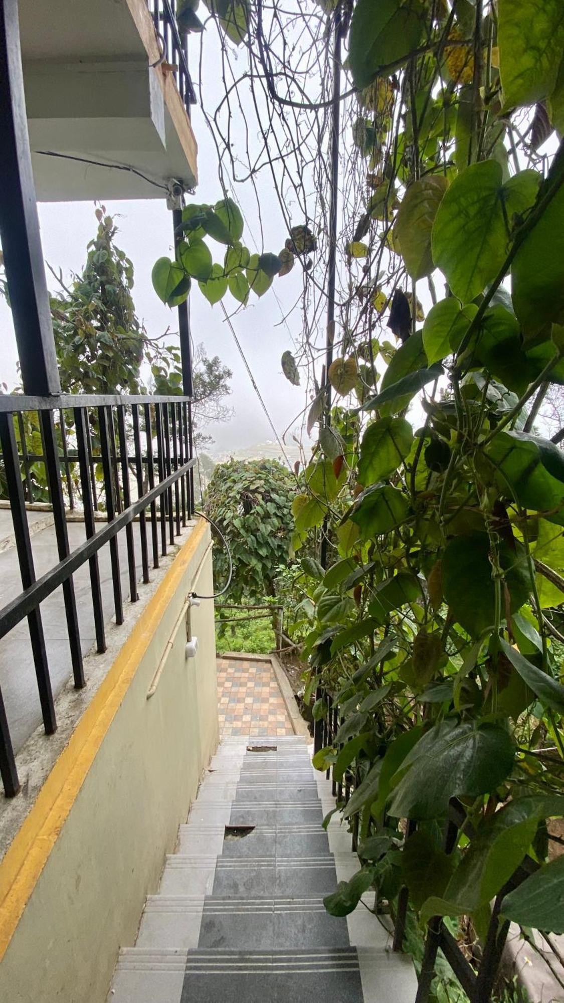 Radiance Art Residency Poombarai Kodaikanal