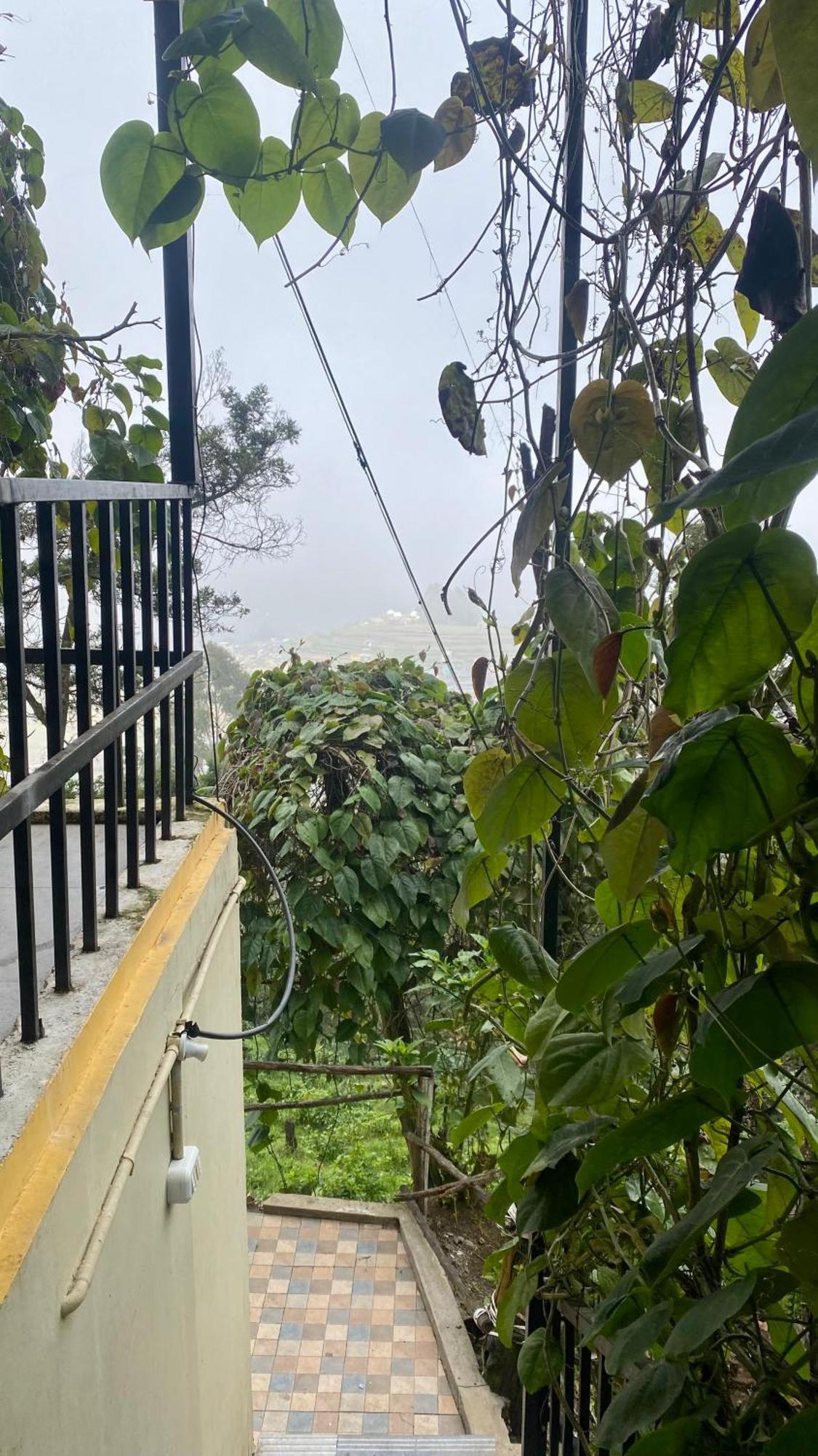 Radiance Art Residency Poombarai Hotel Kodaikanal