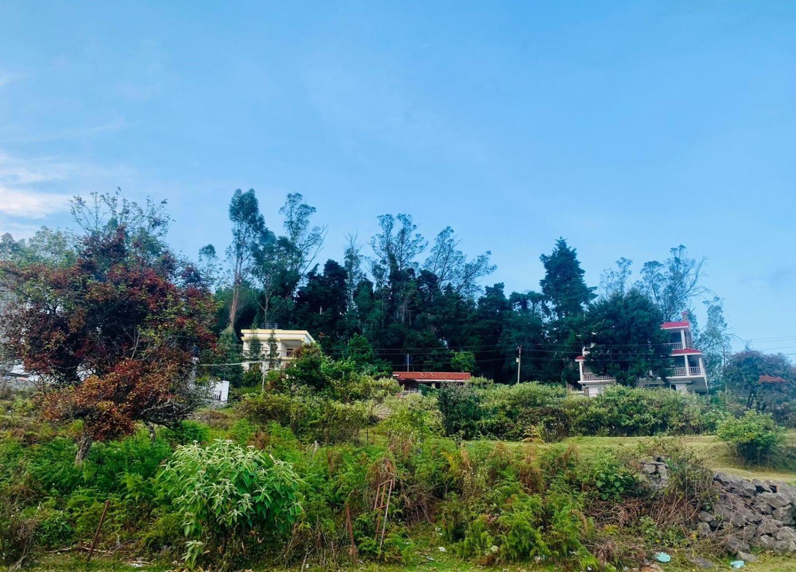 Daneys Castle Lodge Kodaikanal