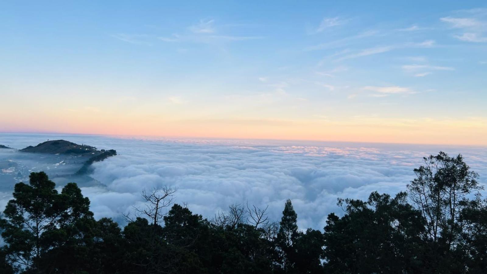 Kodai Trek & Homestay *