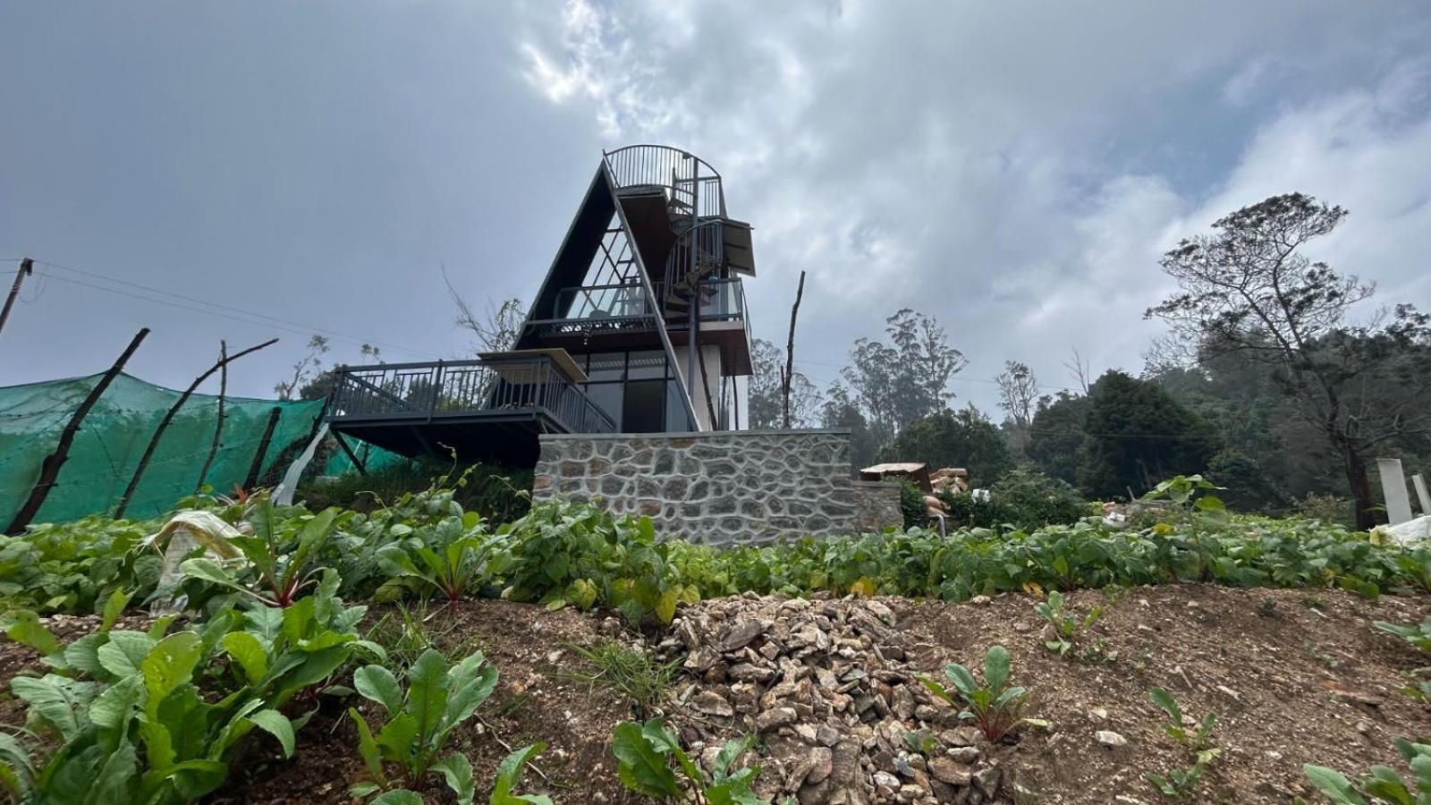 Kodai Trek & Homestay