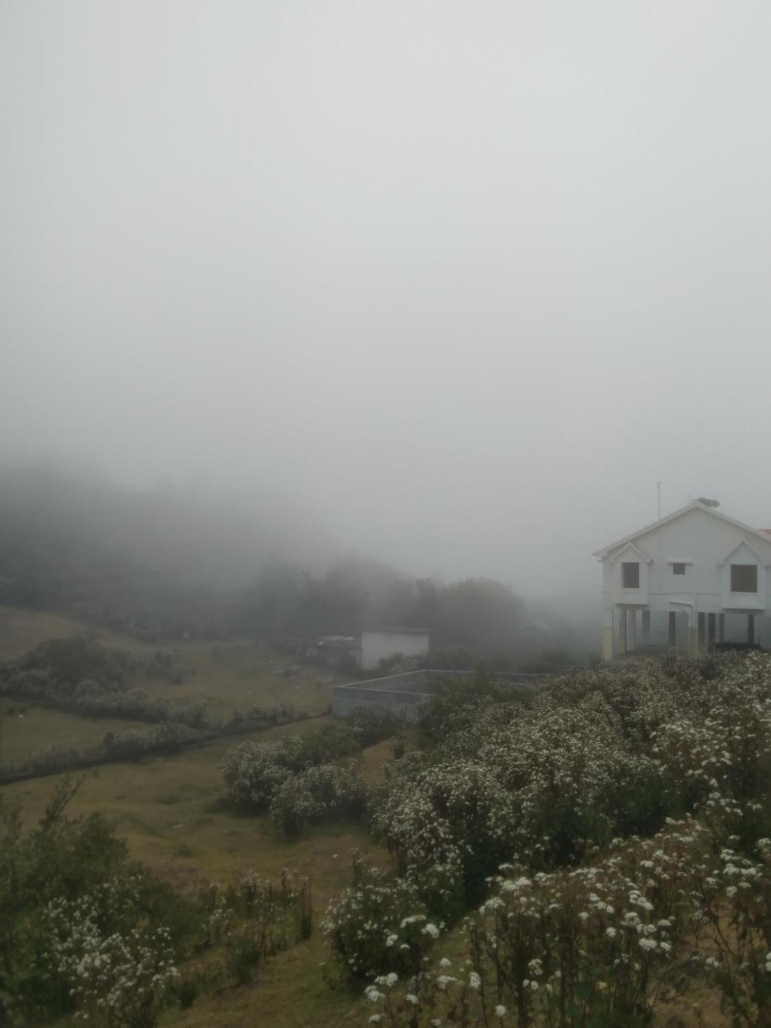 Starlight Kodai Hotel Kodaikanal