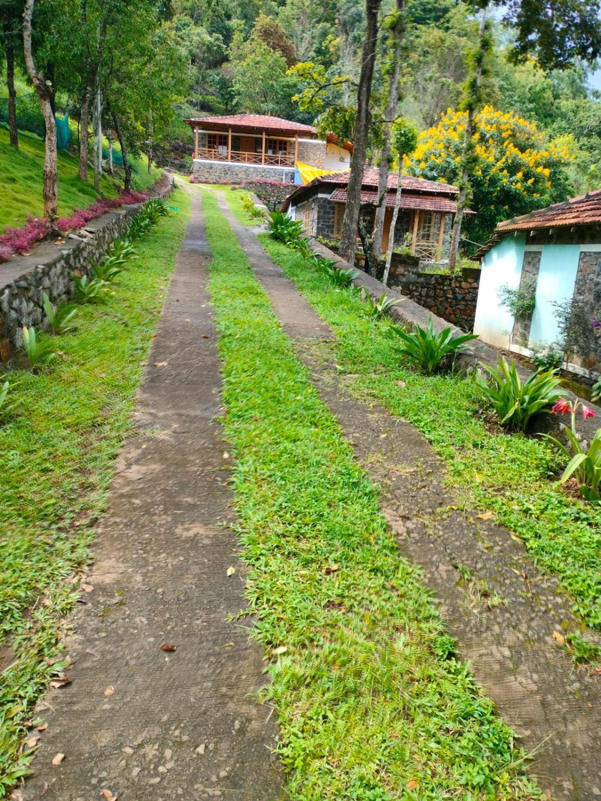 Serenity * Kodaikanal