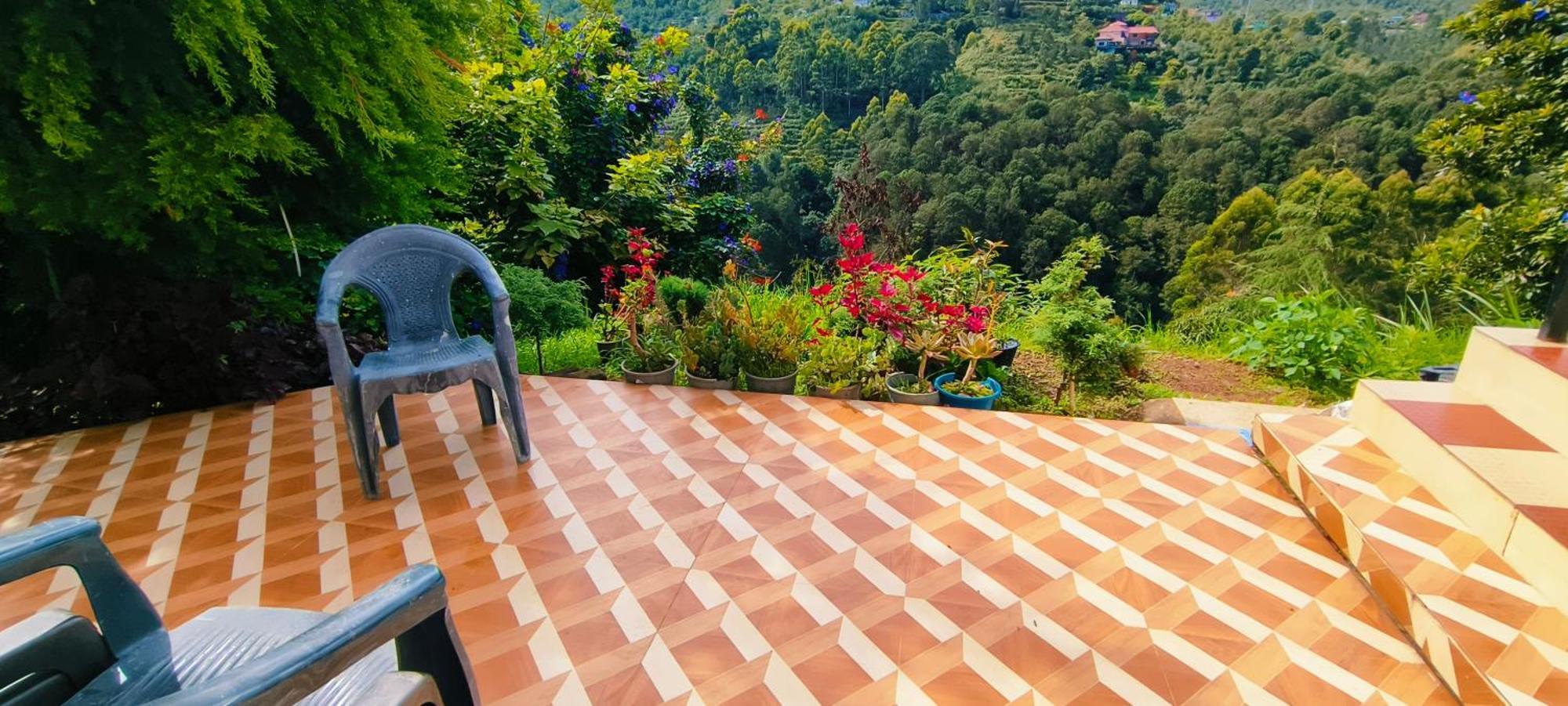 Pine Tree View Homestay