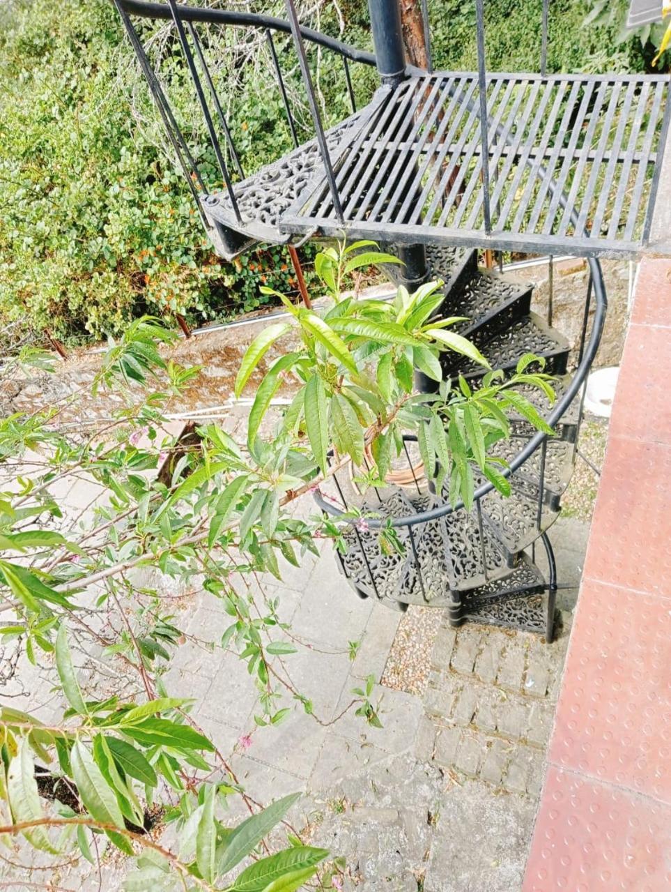 Gapri Cabs Kodaikanal