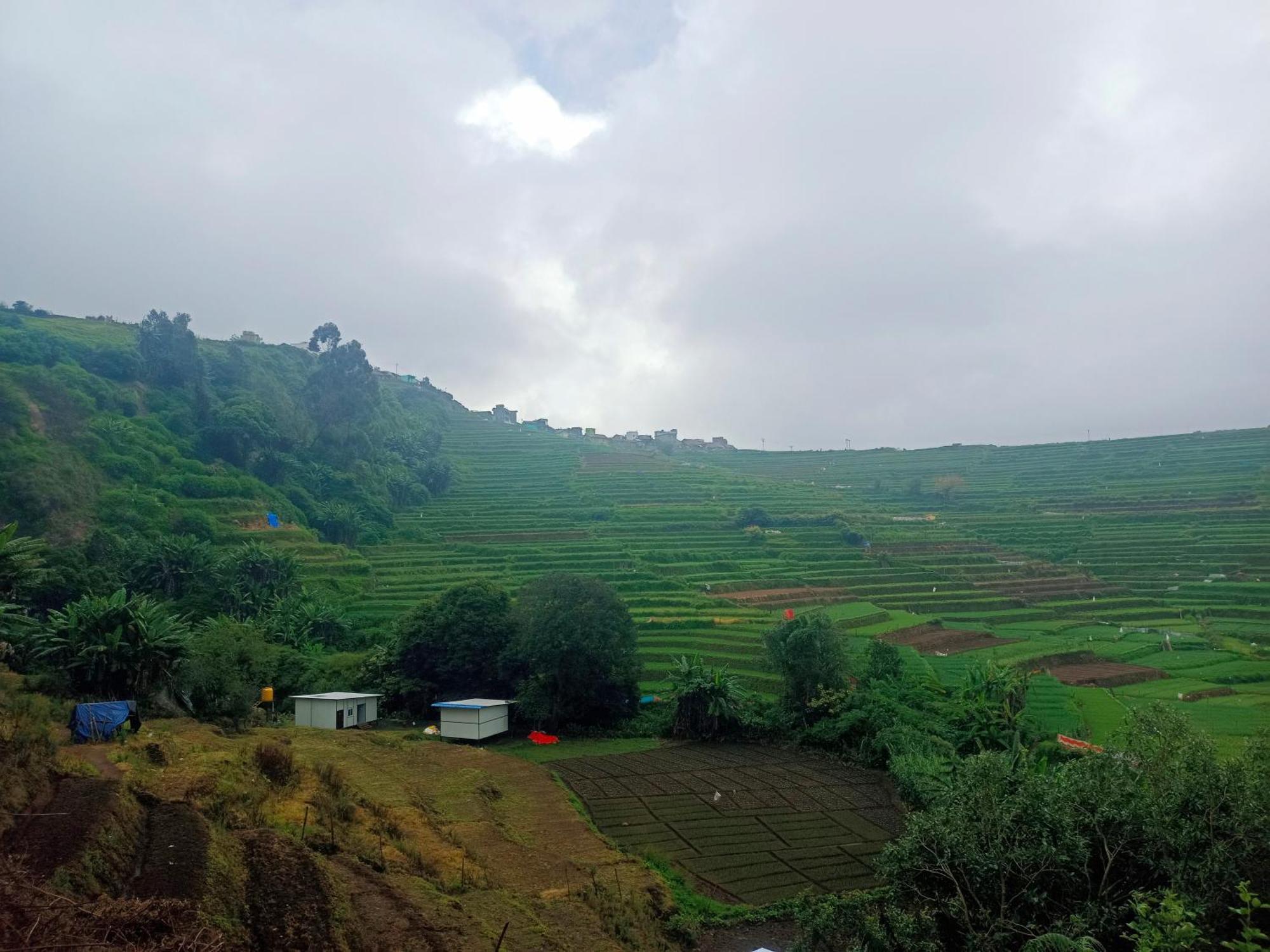 Homestay Campia Kookal Kodaikanal