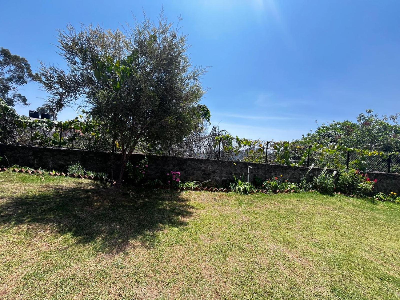 Rainland Holidays 3*