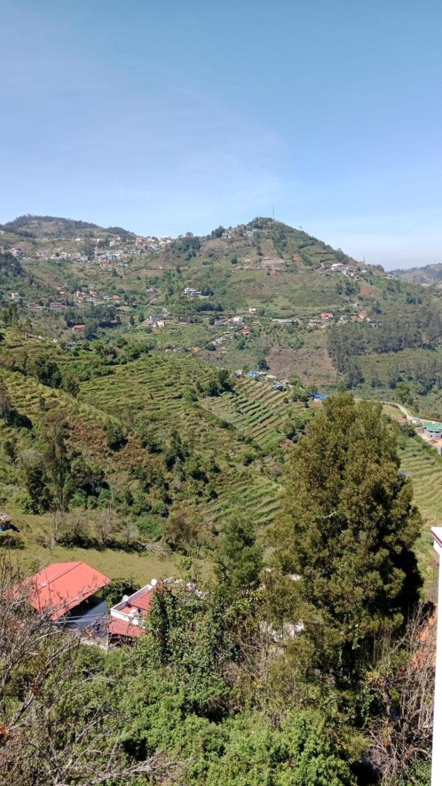 Kurinji Orange Homestay