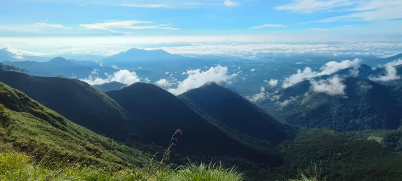 Homestay Pine Tree View