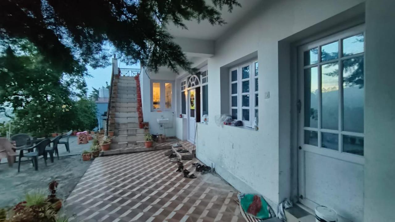 Homestay Pine Tree View *