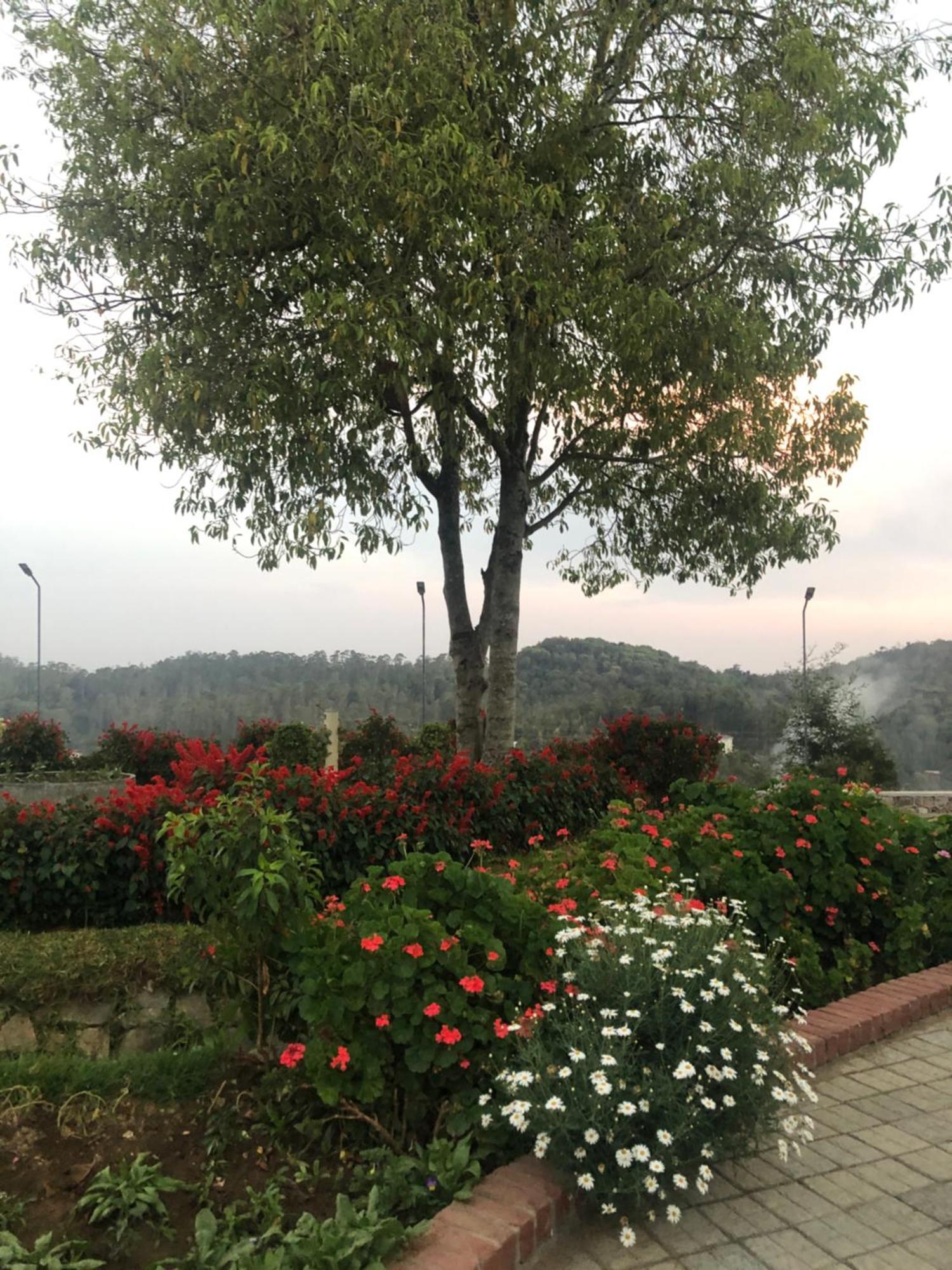 Ger Manus Springs 4* Kodaikanal
