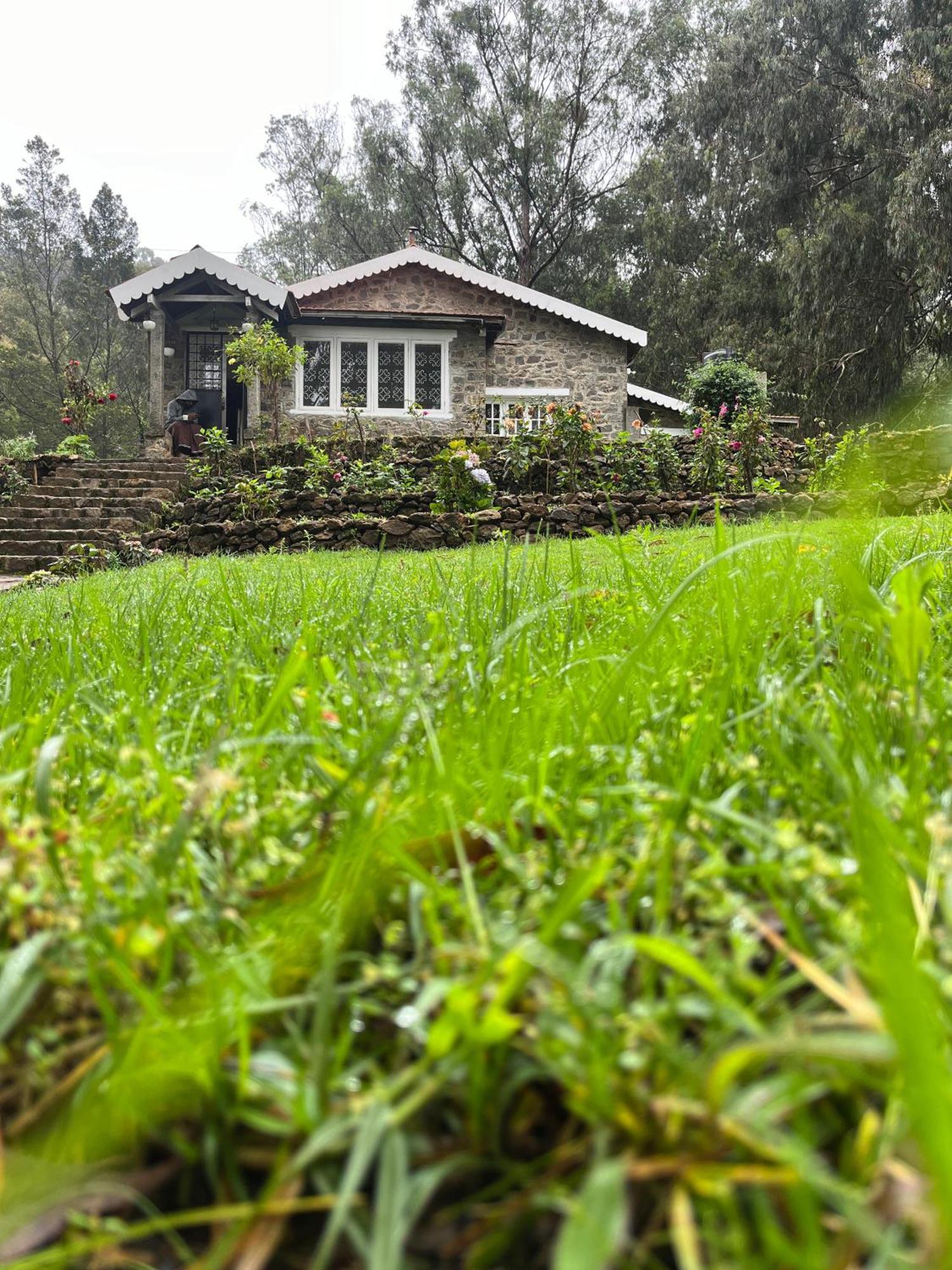 Villa Springdale