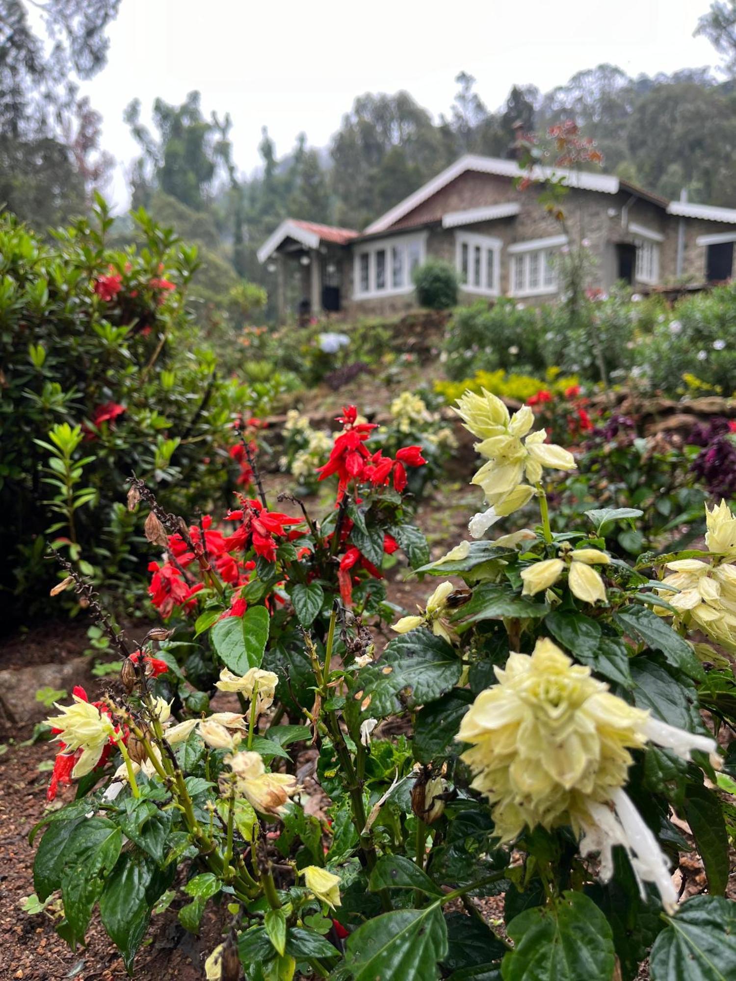 Villa Springdale Kodaikanal