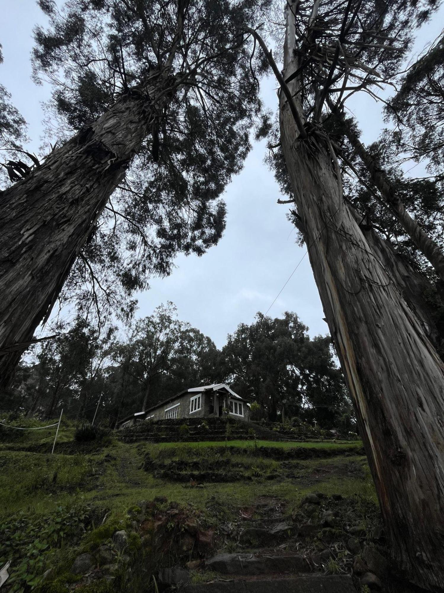 Villa Springdale Kodaikanal