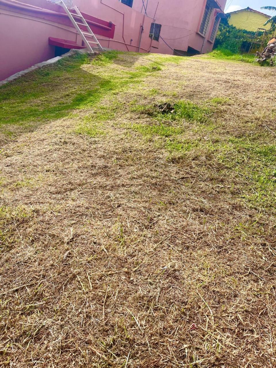Kodai P2farm House Homestay Kodaikanal