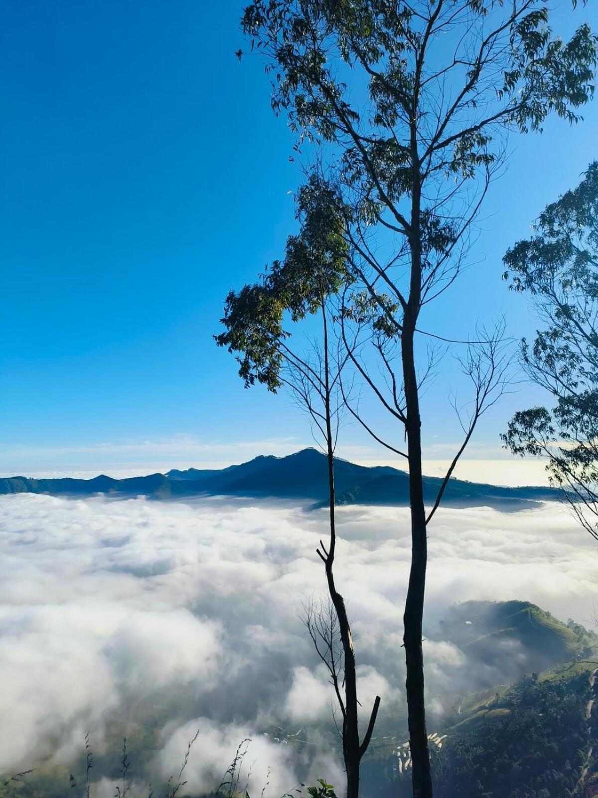 Villa Adventure Hike Kodaikanal