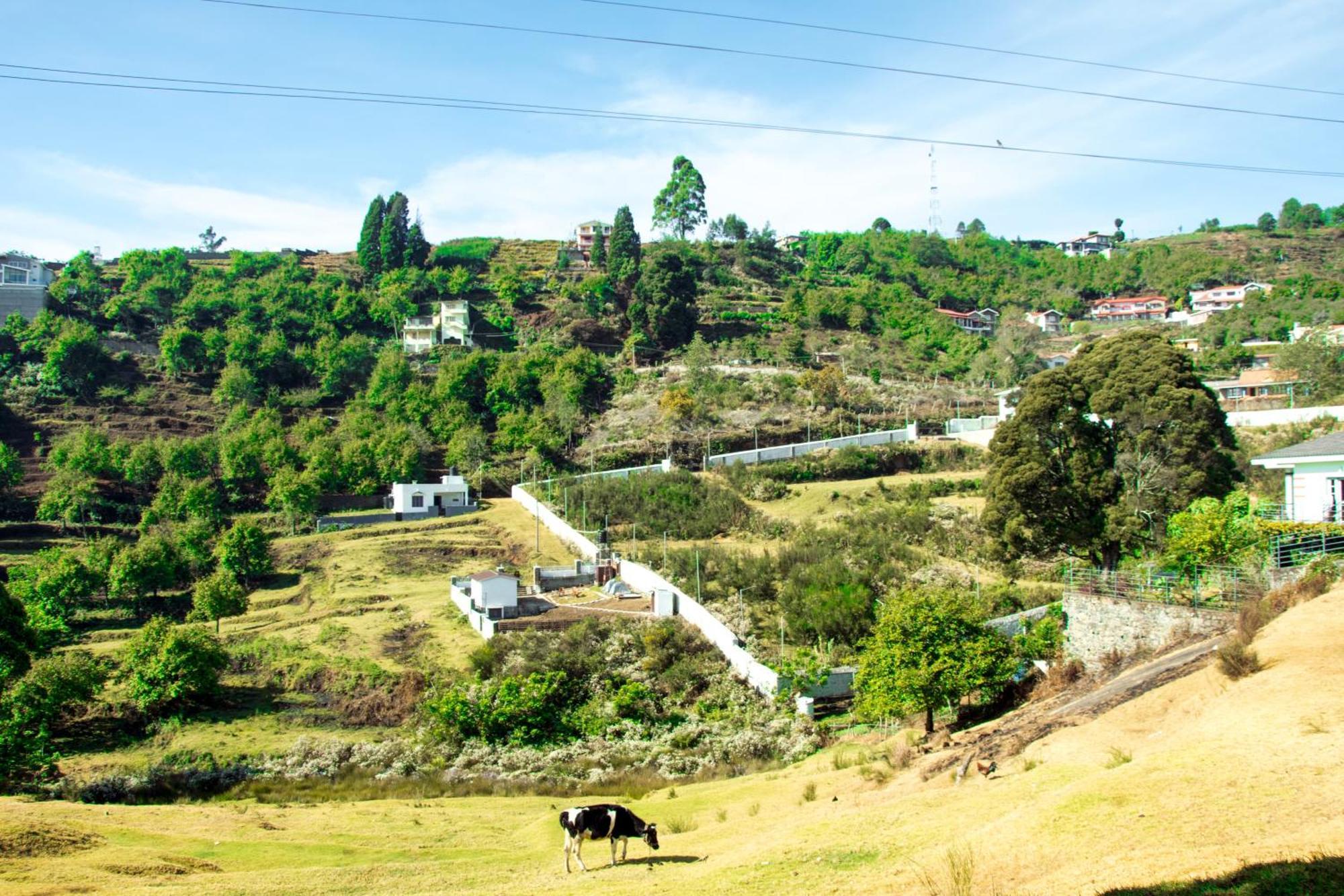 Close To Heaven Valley