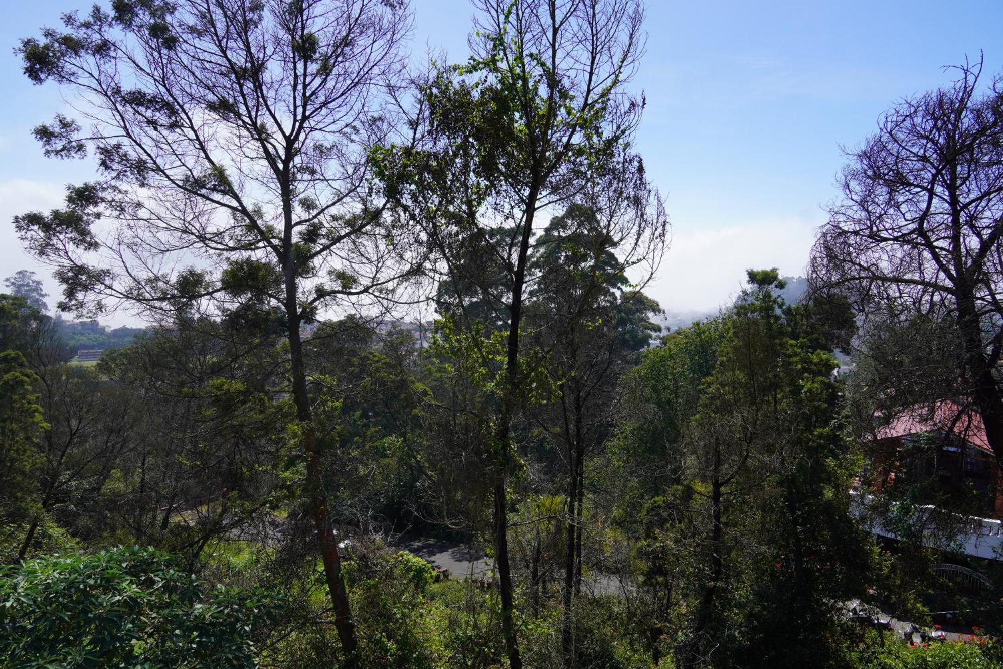 Kodai Drizzle - A Luxury * Kodaikanal