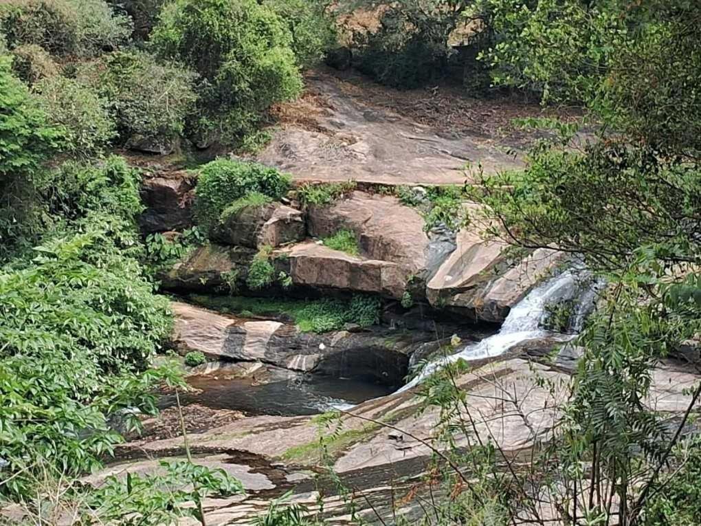 King Of Jungle Ground And Waterfalls Campsite