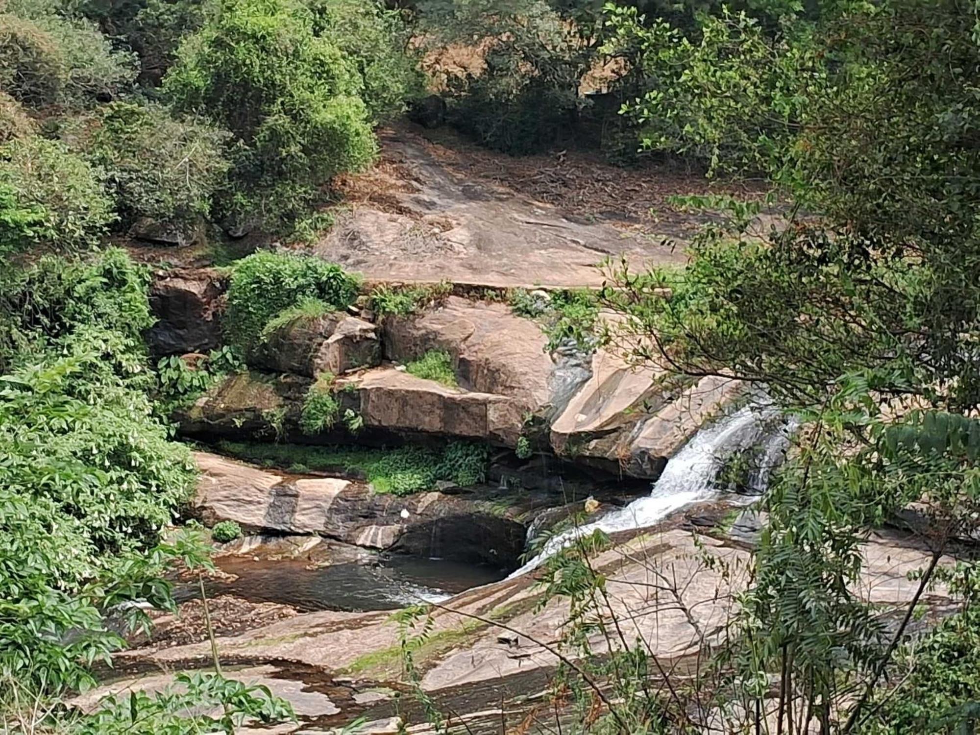 King Of Jungle Ground And Waterfalls * Kodaikanal