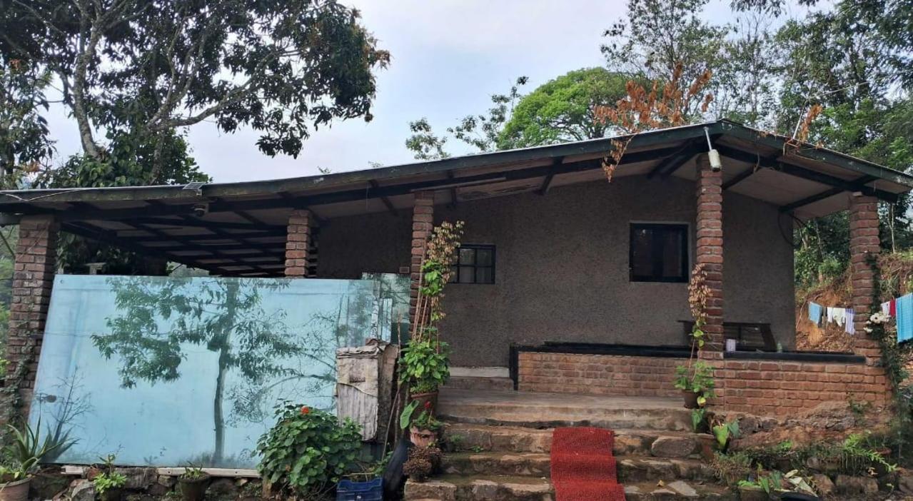 King Of Jungle Retreat Villa